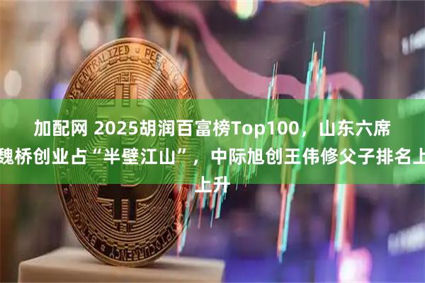 加配网 2025胡润百富榜Top100，山东六席！魏桥创业占“半壁江山”，中际旭创王伟修父子排名上升