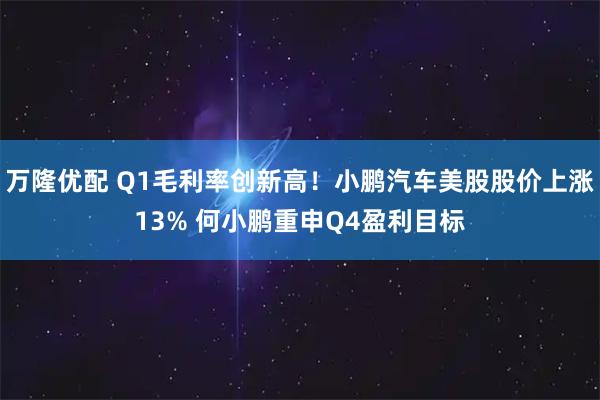 万隆优配 Q1毛利率创新高！小鹏汽车美股股价上涨13% 何小鹏重申Q4盈利目标