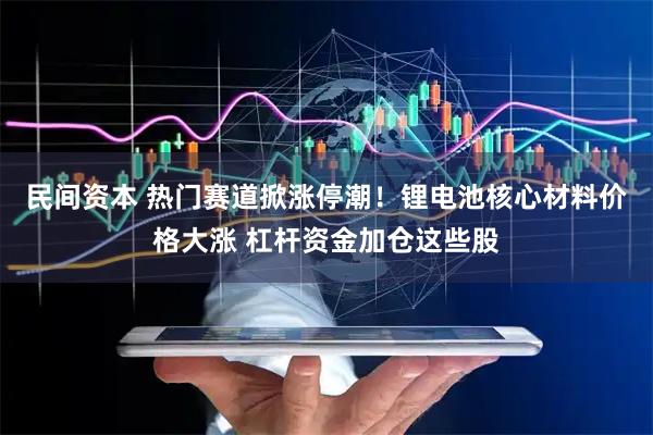 民间资本 热门赛道掀涨停潮！锂电池核心材料价格大涨 杠杆资金加仓这些股