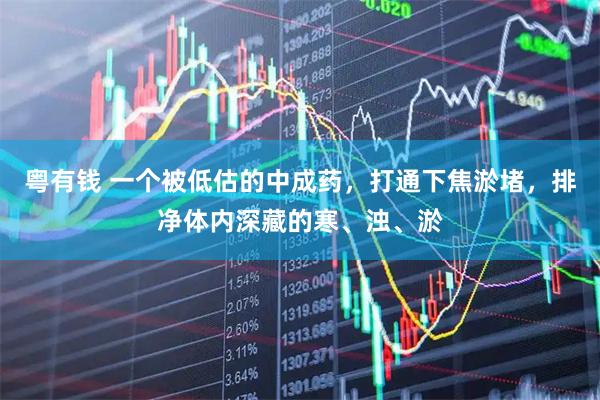 粤有钱 一个被低估的中成药，打通下焦淤堵，排净体内深藏的寒、浊、淤